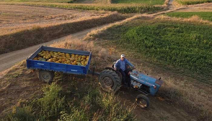 İstanbul'da otomotiv sektörü yöneticisi, köyünde çiftçi oldu